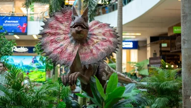 Dinosaurios en el Tesoro