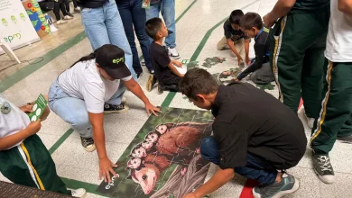 Semana ambiental en el municipio de Peque. Foto/ EPM