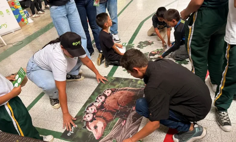 Semana ambiental en el municipio de Peque. Foto/ EPM