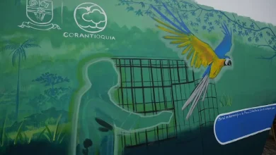 Área Libre de Fauna Silvestre en Cautiverio. Foto/ Corantioquia