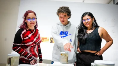 El ingreso a la exposicion estará gratuita hasta el mes de diciembre. FOTO/ITM
