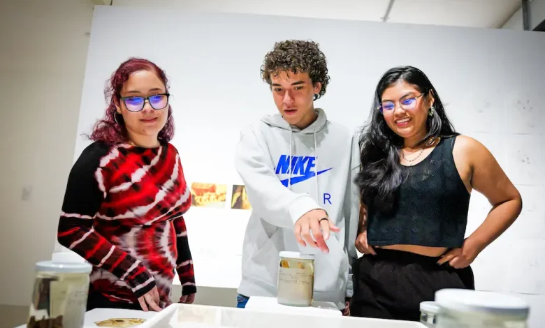 El ingreso a la exposicion estará gratuita hasta el mes de diciembre. FOTO/ITM