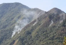 Las labores continúan ara extinguir las llamas en su totalidad.