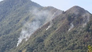 Las labores continúan ara extinguir las llamas en su totalidad.