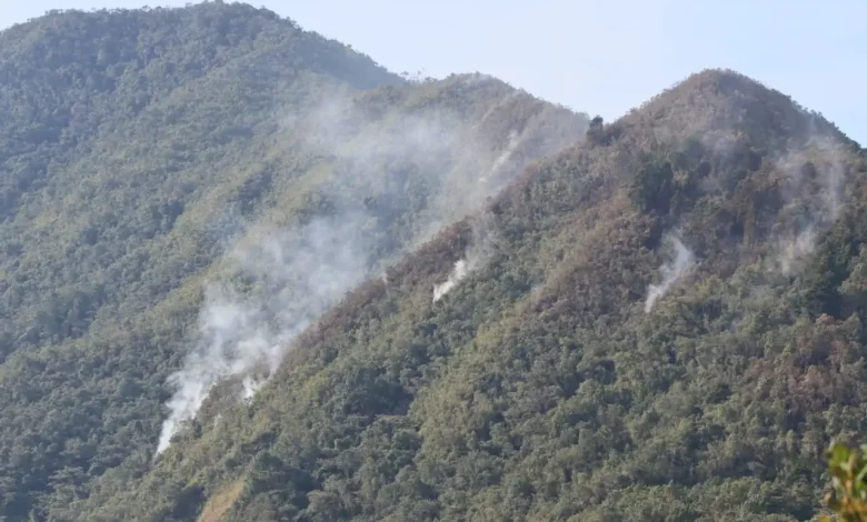 Las labores continúan ara extinguir las llamas en su totalidad.