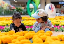 Comenzó la venta de flores del tapete del CC Santafe