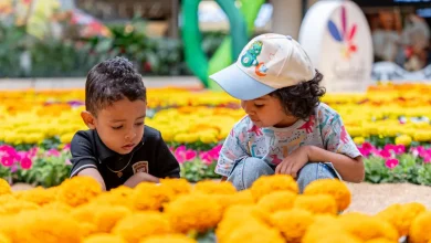 Comenzó la venta de flores del tapete del CC Santafe