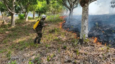 Avanza la atención de incedndios en El Tolima. Foto/UNGRD