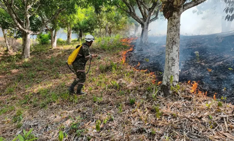 Avanza la atención de incedndios en El Tolima. Foto/UNGRD