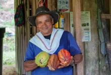 Productor de cacao. Foto/ Sena