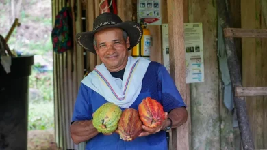 Productor de cacao. Foto/ Sena