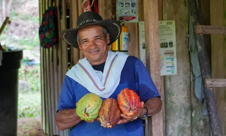 Productor de cacao. Foto/ Sena