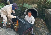 La alcaldía lideró jornada de limpieza