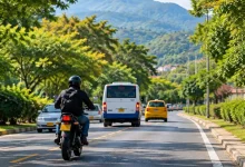 Seguridad vial